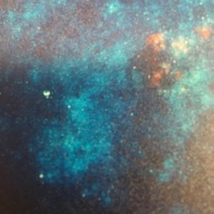 Meet your Posher, Rania